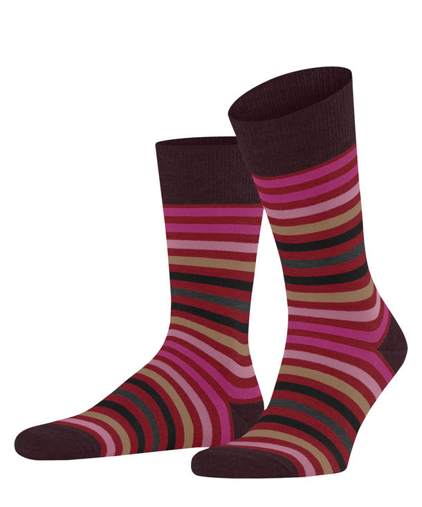 Tinted Stripe Mens Socks Ingle