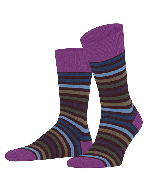 Tinted Stripe Purple